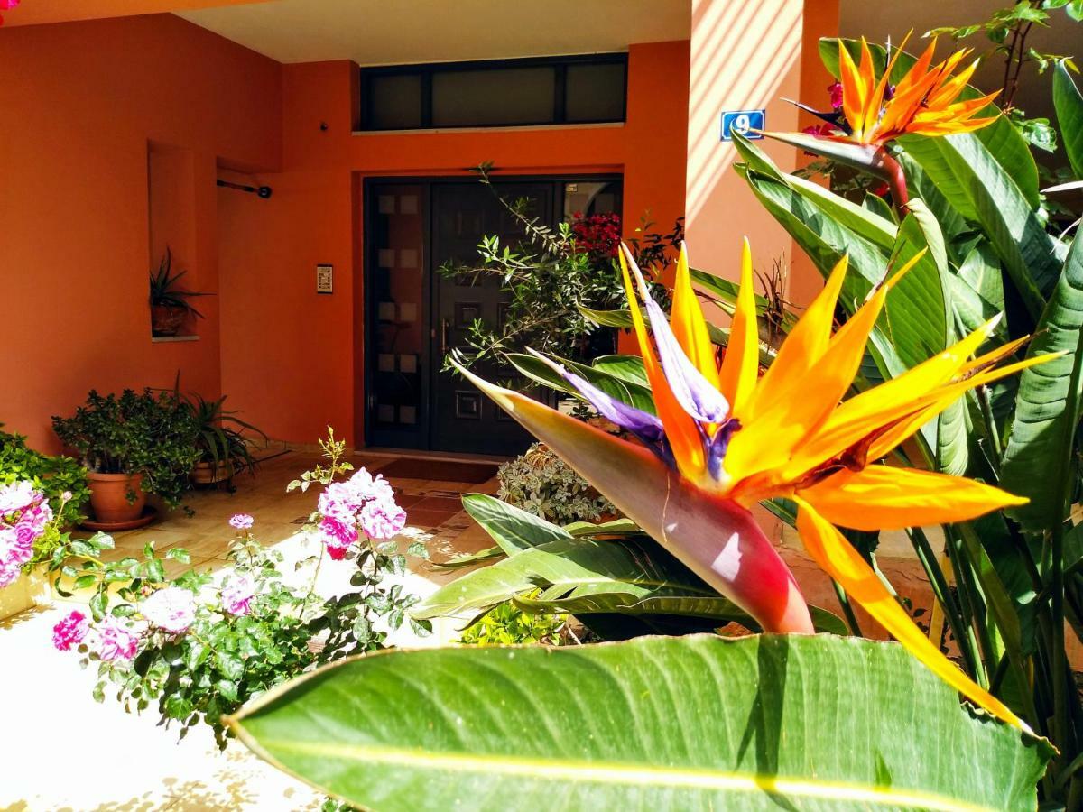 Myrto1 Apartment بريفيزا المظهر الخارجي الصورة